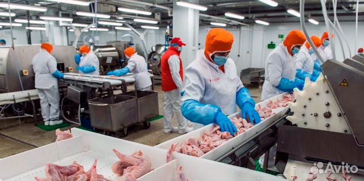 Вахта Владимир Укладчик-упаковщик 15/15