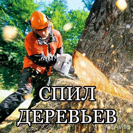 Спил деревьев,покос травы