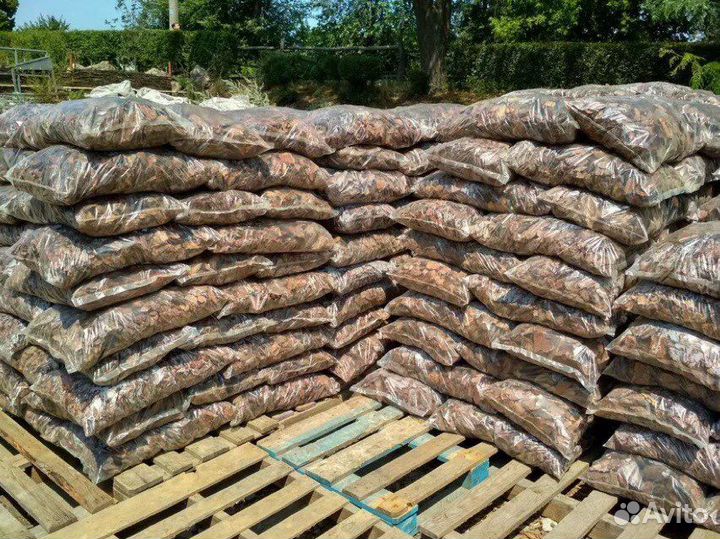 Сосновая кора