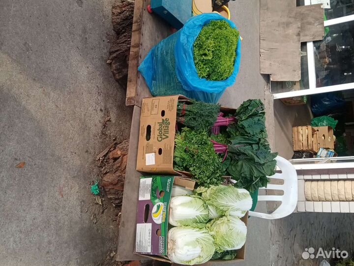 Батва свеклы