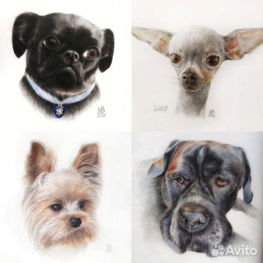 Нарисую вашего любимого питомца