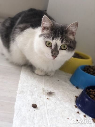 Луша ищет семью