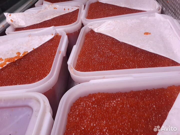 Красная икра Кеты