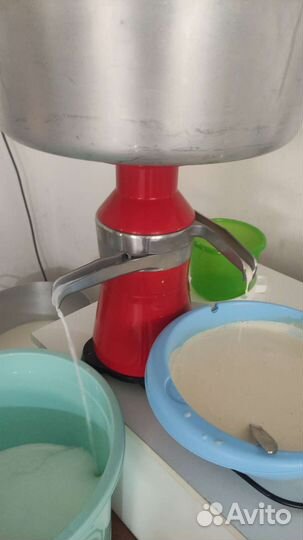 Молоко. Молочные продукты