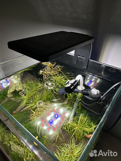 Аквариум Aquael 20 литров