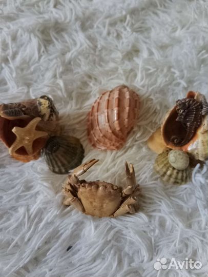 Краб ракушки сувениры