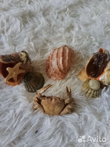 Краб ракушки сувениры