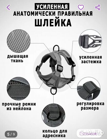 Шлейка с поводком