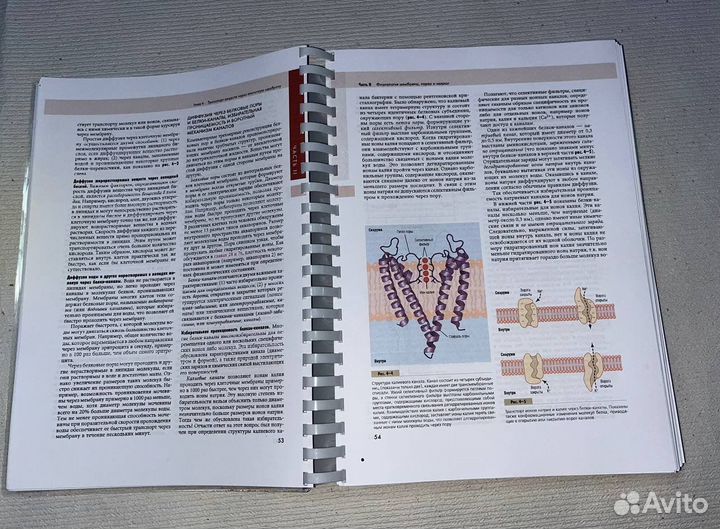 Медицинская физиология по гайтону
