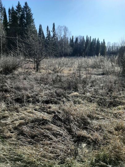 Дом 90 м² на участке 30 сот.