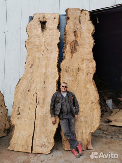 Слэбы из дерева карагач, бук, граб, тополь
