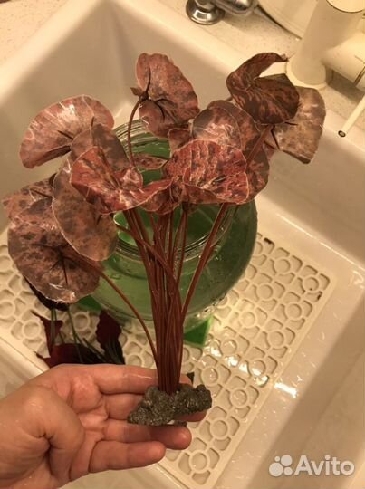 Искусственные растения для аквариума