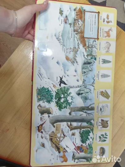 Сказки книга для детей