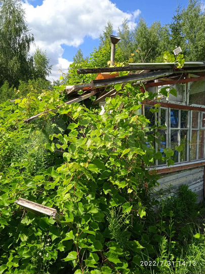 Дача 20 м² на участке 10 сот.