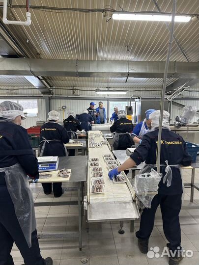 Завод рыбоперерабатывающий завод продуктов питания