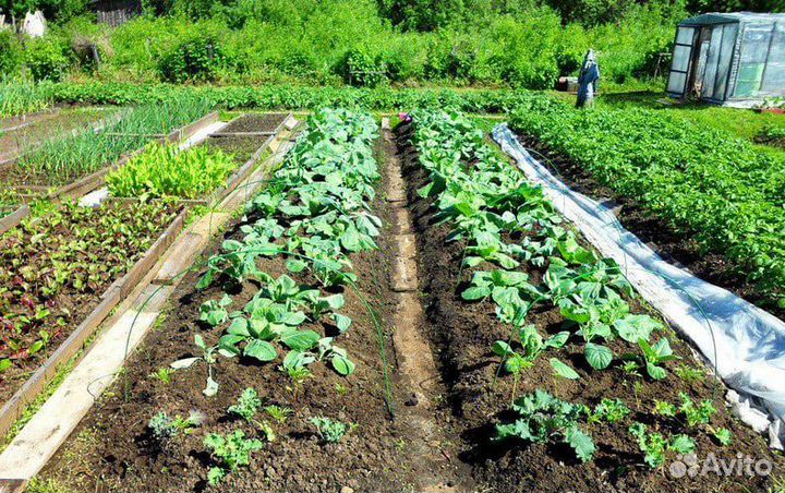 Чернозём камаз,мешки,самовывоз,доставка