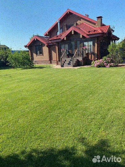 Продажа газона