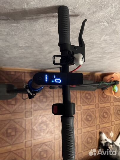 Электросамокат xiaomi m365 pro