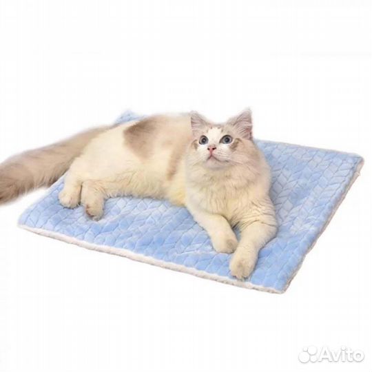 Умная кормушка и лежак