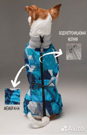 Комбинезон для собаки деовчки в отличном состоянии