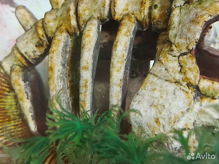 Аквариум с рыбками