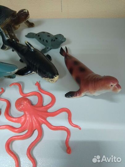 Морские животные