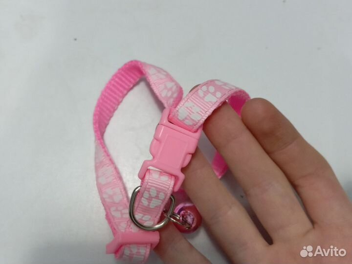 Ошейник для маленькой собаки