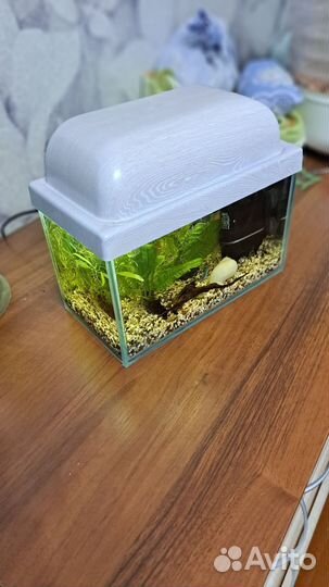 Аквариум 5л
