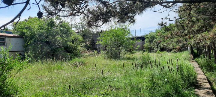 Участок 7,2 сот. (СНТ, ДНП)