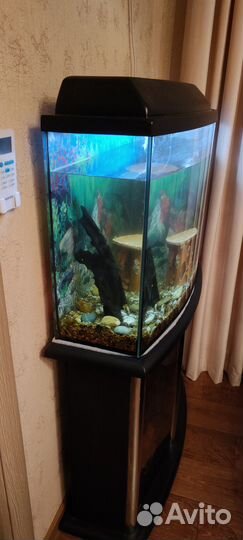 Аквариум с тумбой 100л