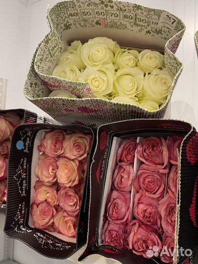 Розы букеты