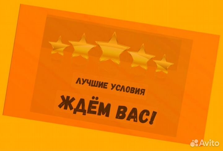 Сборщик заказов Выплаты еженедельно Без опыта М/Ж