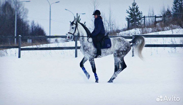 Вальтрап универсальный 