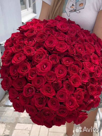 101 poзa 51 25 Розa Цвeты Дoставка