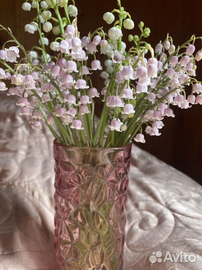 Ландыш розовый