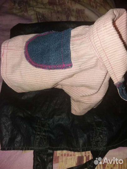 Одежда для йорка