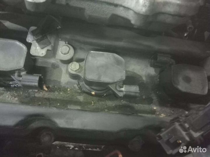 Катушка зажигания. Infiniti m35.nissan fuga y50