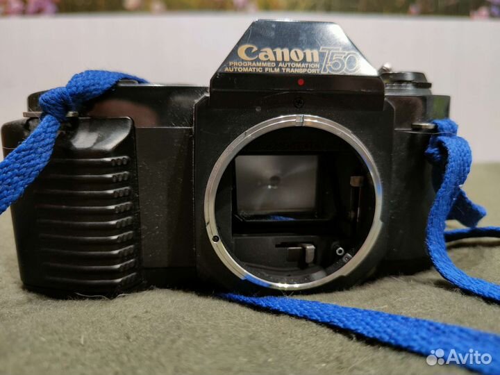 Canon T50