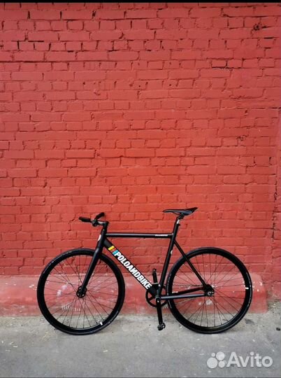 Polo and bike Williamsburg Pro 58