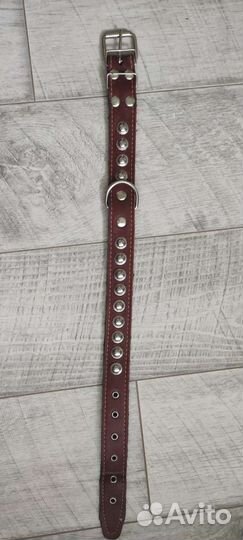 Ошейник с поводком для собаки