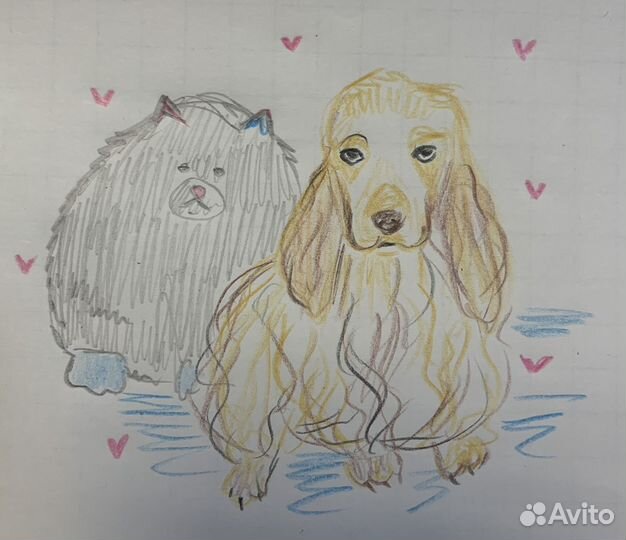 Рисунки на заказ животные питомцы от 70