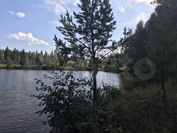 Участок 11,5 сот. (ИЖС)