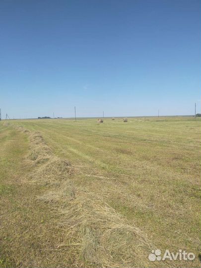 Продам сено в рулонах и салому