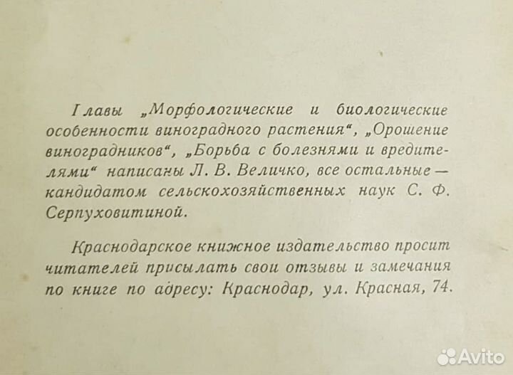 Виноградарство Краснодарского края,Серпуховитина
