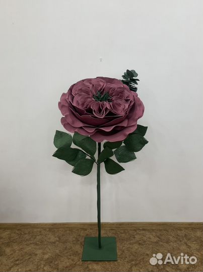 Ростовые цветы