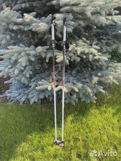 Беговые лыжи fischer