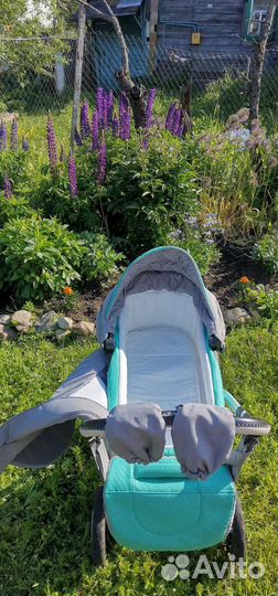 Коляска adamex 3 в 1