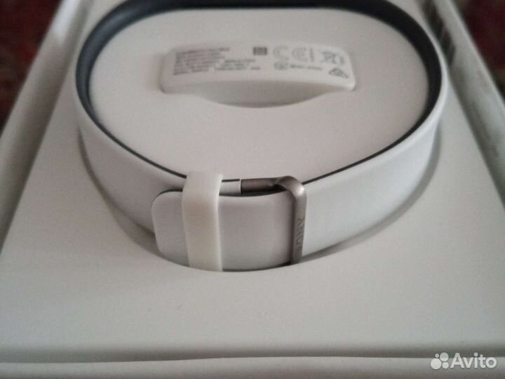 SmartBand 2