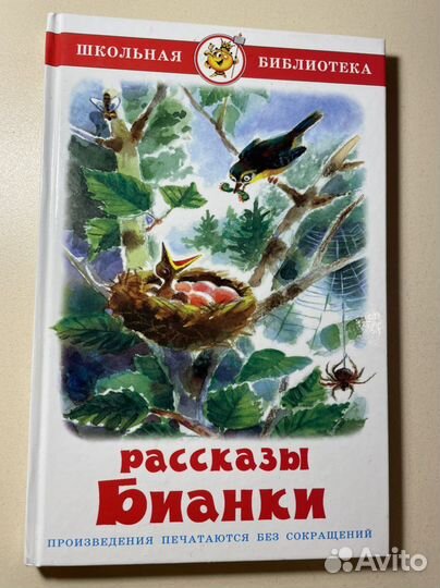 Рассказы Бьянки, идеальное состояние