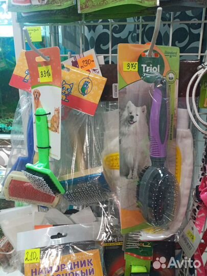 Ошейник и поводок